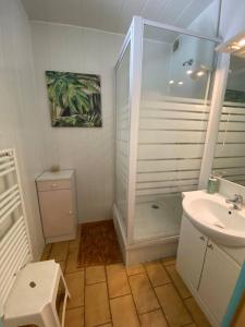 ein Bad mit einer Dusche und einem Waschbecken in der Unterkunft Charmant t1 dans le verdon in Gréoux-les-Bains