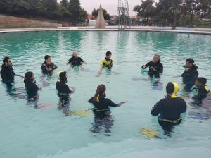 a group of people in the water in a pool at Casa da Rosa in Arcozelo