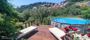 eine Terrasse mit Pool und ein paar Blumen in der Unterkunft Apartment Glavica in Goveđari