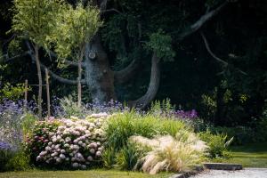 un giardino con fiori di fronte ad un albero di Villa Solatia a Caldogno