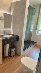 ein Bad mit einem Waschbecken und einem WC in der Unterkunft hotel whiteswan in Ehnen