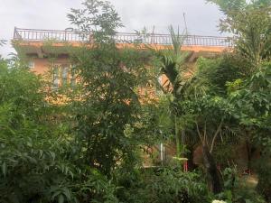 Garður fyrir utan Tara guesthouse - Sauraha,Chitwan