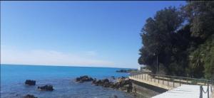 a group of animals in the water near a pier at Castiglioncello Suite in Castiglioncello