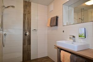 uma casa de banho com um lavatório e um chuveiro em DZ Komfort em Biberwier