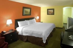 a hotel room with a large bed and a television at Americas Best Value Inn Waco - Franklin Avenue in Waco