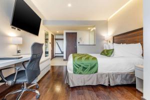 Postel nebo postele na pokoji v ubytování Quality Inn Chihuahua San Francisco
