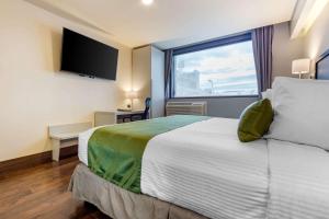 Postel nebo postele na pokoji v ubytování Quality Inn Chihuahua San Francisco