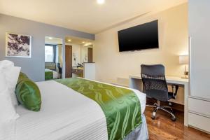Postel nebo postele na pokoji v ubytování Quality Inn Chihuahua San Francisco