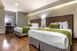 Postel nebo postele na pokoji v ubytování Quality Inn Chihuahua San Francisco