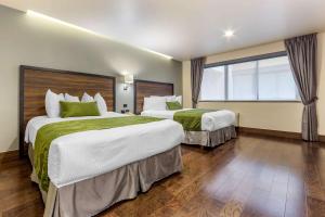 Postel nebo postele na pokoji v ubytování Quality Inn Chihuahua San Francisco