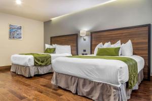 Postel nebo postele na pokoji v ubytování Quality Inn Chihuahua San Francisco