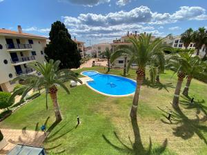 uma vista sobre uma piscina num parque com palmeiras em Apartamentos Porta Mediterranea Altamar em Alcossebre