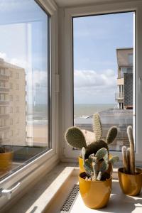 uma janela com cactos e vista para o oceano em Spacious family flat near the beach (6-8 pers) em Koksijde