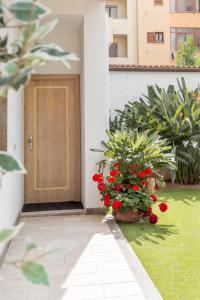 Κήπος έξω από το Hotel Domomea