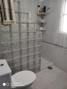 a bathroom with a toilet and a shower with glass shelves at VILLA LOS GALLOS in Chiclana de la Frontera