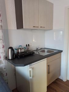 a kitchen with a sink and a counter top at Zimmer "Beere" in Lahr-Dinglingen