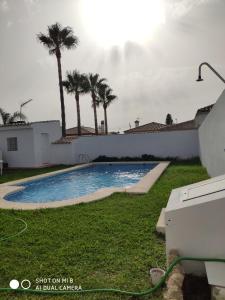 a swimming pool in a yard with palm trees at VILLA LOS GALLOS in Chiclana de la Frontera