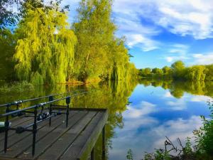 a view of a lake with a dock and trees at The Hideaway Pod in Chelmsford