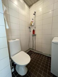 a bathroom with a toilet and a shower at Studio The Vibe / 25min to airpt & 5min to center in Helsinki