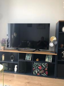 a large entertainment center with a large flat screen tv at Apartament Pileckiego Nowy Dwór Mazowiecki Airport Modlin 24 H in Nowy Dwór Mazowiecki