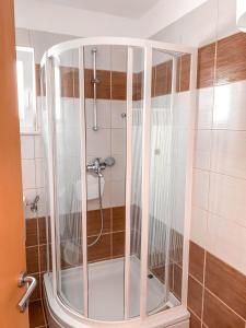 eine Dusche mit Glaskabine im Bad in der Unterkunft Sunny apartment Nada 2+1 #2 Tisno in Tisno