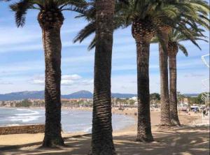 a group of palm trees on a beach at Samitier in Cambrils