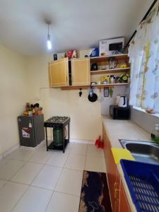 a small kitchen with a sink and a counter at 1 BR, TreasureTree Homes, Thika in Thika