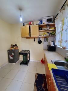 Thika1 BR, TreasureTree Homes, Thika的带水槽和柜台的小厨房 更多10张照片