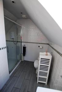 a attic bathroom with a shower and a toilet at Harbourside- home by the sea in coastal village in Saint Monance