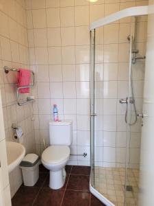 a bathroom with a toilet and a shower at Jono Pauliaus II piligrimu namai in Raseiniai