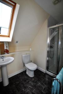 a bathroom with a toilet and a sink and a shower at Orchard Cottage-spacious cottage in rural setting in Kilrenny