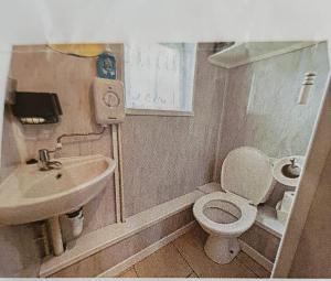 a small bathroom with a toilet and a sink at Hillview in Brean