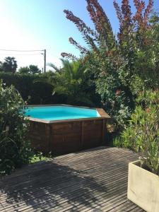 una piscina en medio de un jardín en Gure atherbia, en Pau