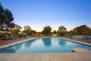una grande piscina con sedie blu e alberi di Kampaoh Marbella a Marbella