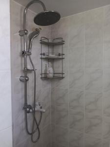 a shower with a shower head in a bathroom at Giulias beach house in Theologos
