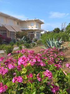 a garden with pink flowers in front of a building at Giulias beach house in Theologos