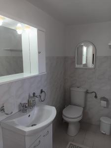 a bathroom with a sink and a toilet and a mirror at Giulias beach house in Theologos
