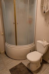 een badkamer met een douche en een wit toilet bij Studio type apartment in Ķegums in Ķegums