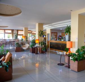 a lobby with potted plants in a building at Hotel Lefkadi in Lefkandi Chalkidas