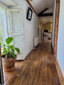 an empty hallway with a door and a potted plant at The Long Barn in Skibbereen