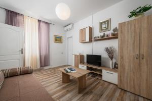 TV a/nebo společenská místnost v ubytování MIMA house with apartments
