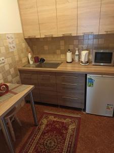 a kitchen with a sink and a refrigerator at U Wyrostków in Gliczarów Górny