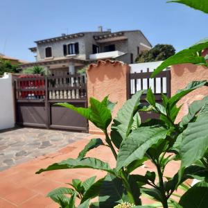 płot przed domem z rośliną w obiekcie La casa di Alessia w mieście Santa Teresa Gallura