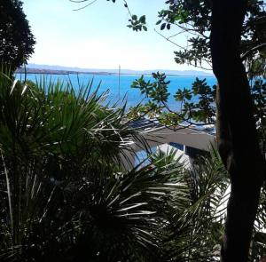 a view of the ocean from behind some trees at Castiglioncello Suite in Castiglioncello
