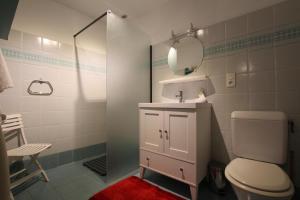 a bathroom with a toilet and a sink and a mirror at Maison etxebarnia cote in Mendive +9 photos