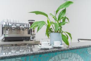 a plant sitting on a kitchen counter with cups and saucers at Hotel America in Marina di Camerota