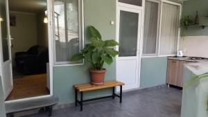 Kuchyň nebo kuchyňský kout v ubytování Guest House Green Rose + 32 fotografií