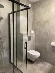 a bathroom with a toilet and a glass shower door at Dworek Bursztynowy in Karwia