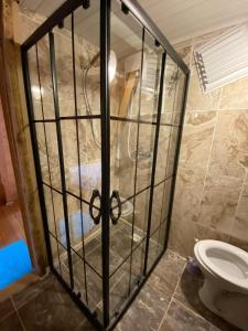 a bathroom with a shower with a toilet in it at Moromu Bungalows in Çamlıhemşin