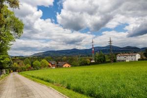 Fotografia z galérie ubytovania Penzion Letohrádek v destinácii Frýdlant nad Ostravicí